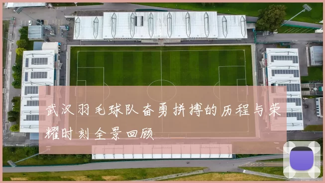 武汉羽毛球队奋勇拼搏的历程与荣耀时刻全景回顾