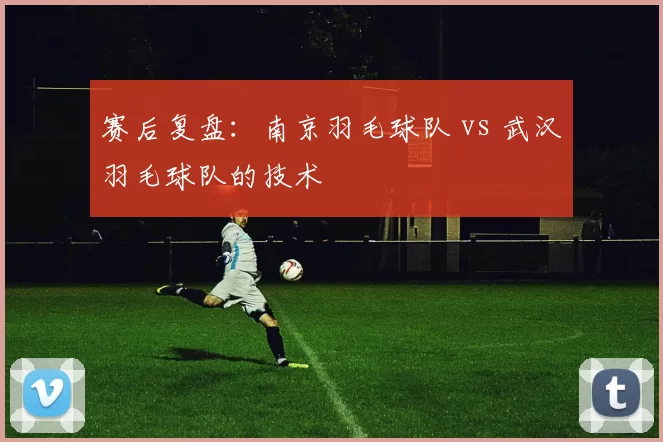 赛后复盘：南京羽毛球队 vs 武汉羽毛球队的技术