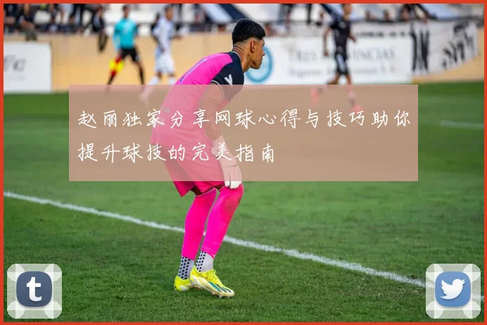 赵丽独家分享网球心得与技巧助你提升球技的完美指南