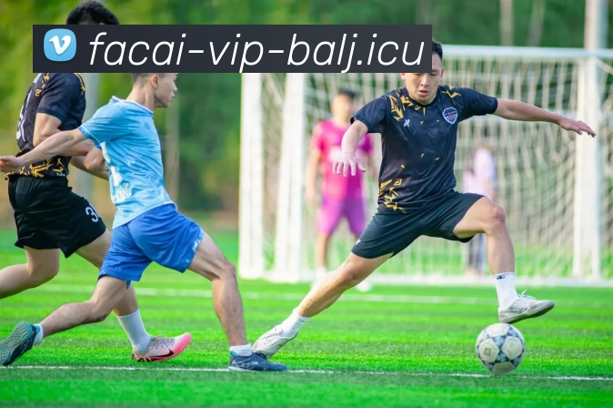 陈磊独家分享篮球心得与技巧提升之道助你成为球场明星